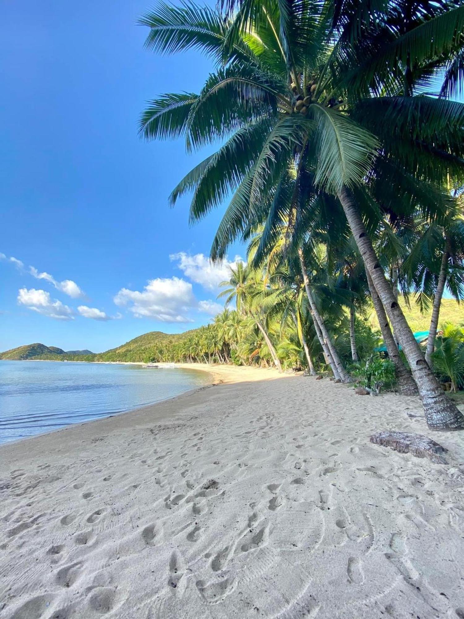 Ocamocam Beach Nature Resort New Busuanga Eksteriør bilde