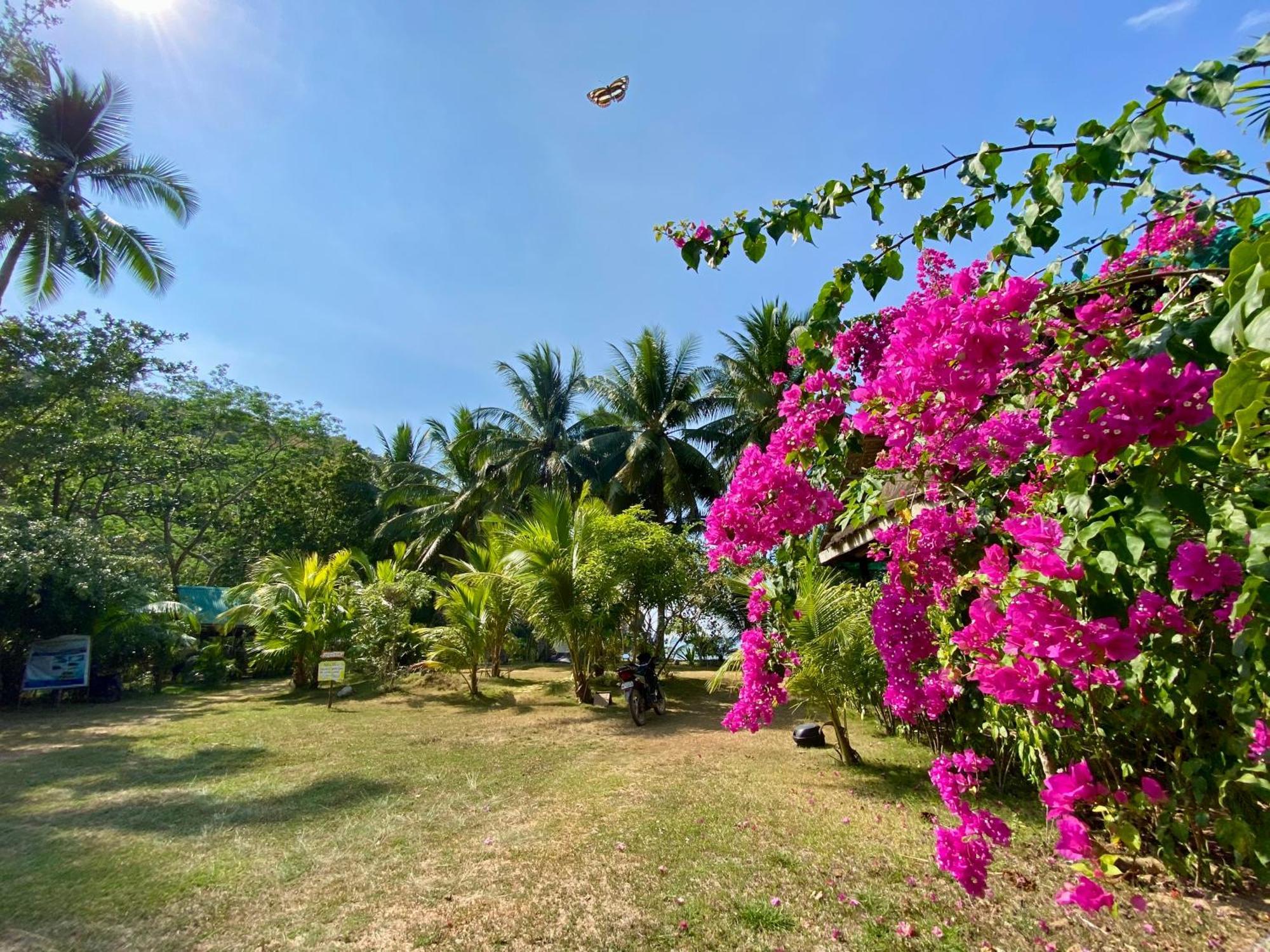 Ocamocam Beach Nature Resort New Busuanga Eksteriør bilde