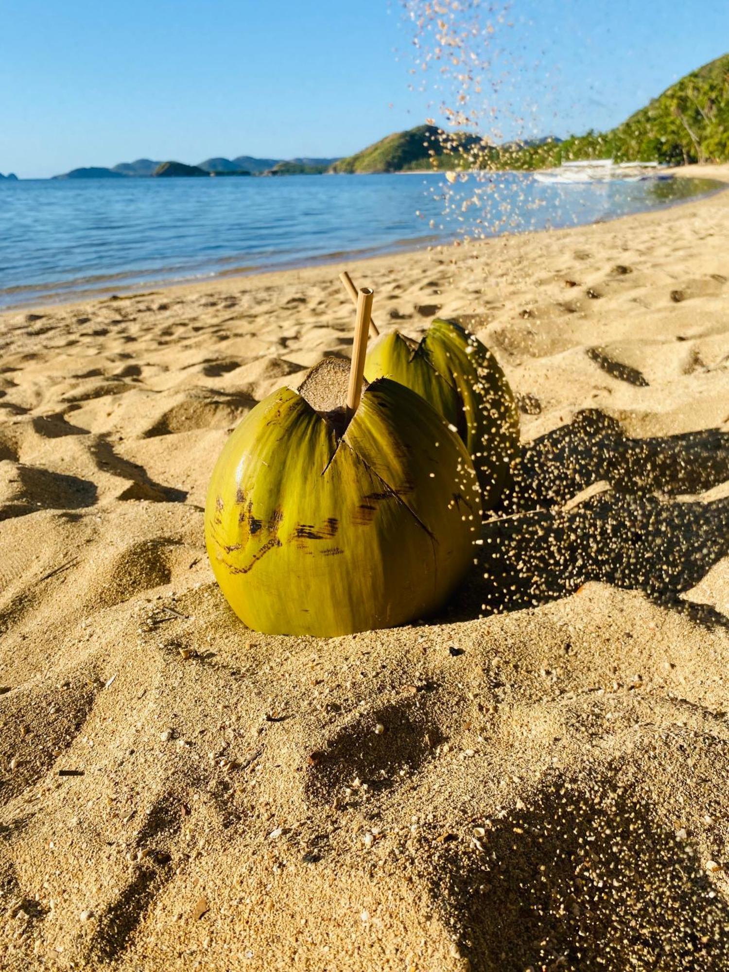 Ocamocam Beach Nature Resort New Busuanga Eksteriør bilde