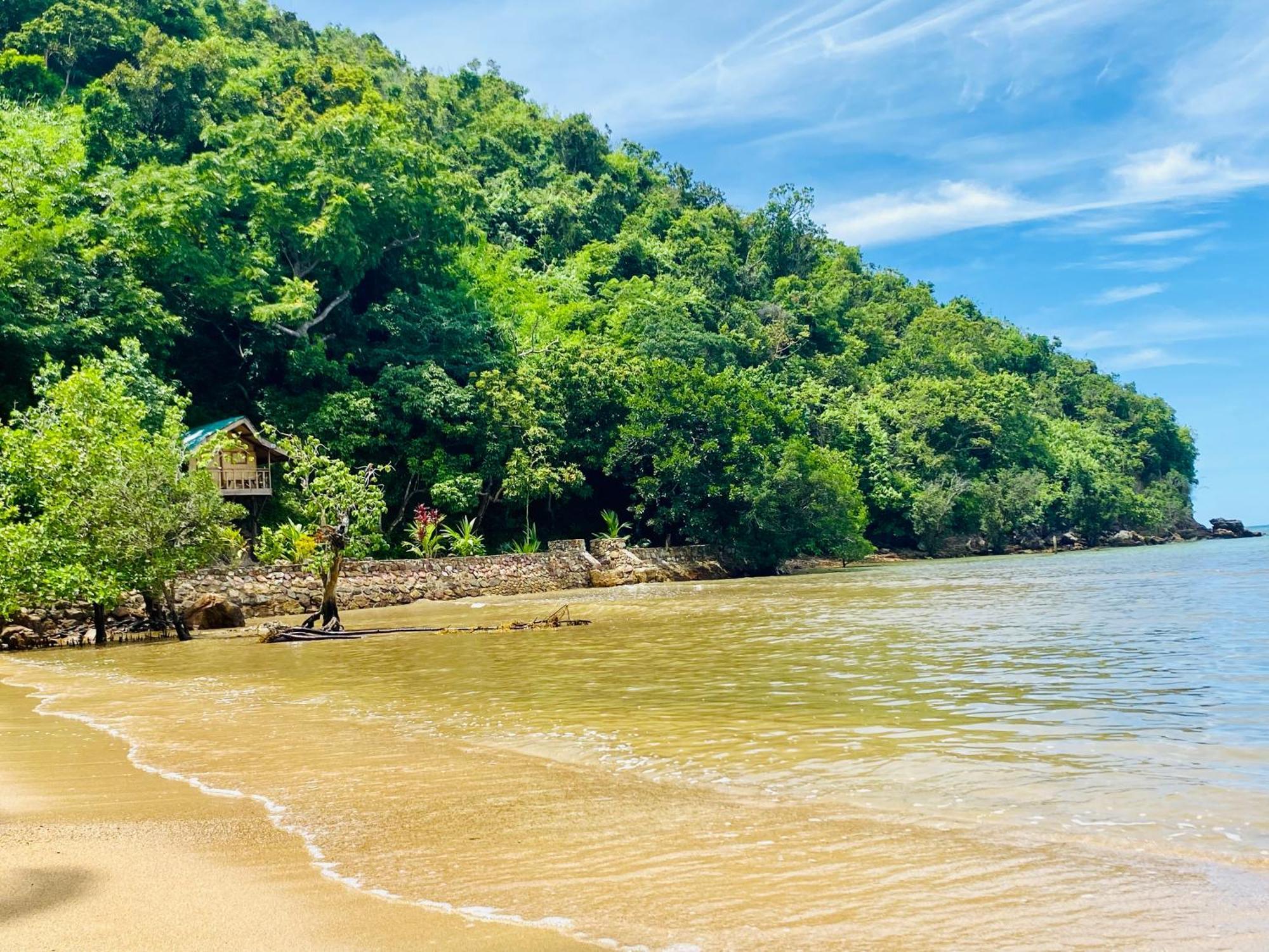 Ocamocam Beach Nature Resort New Busuanga Eksteriør bilde