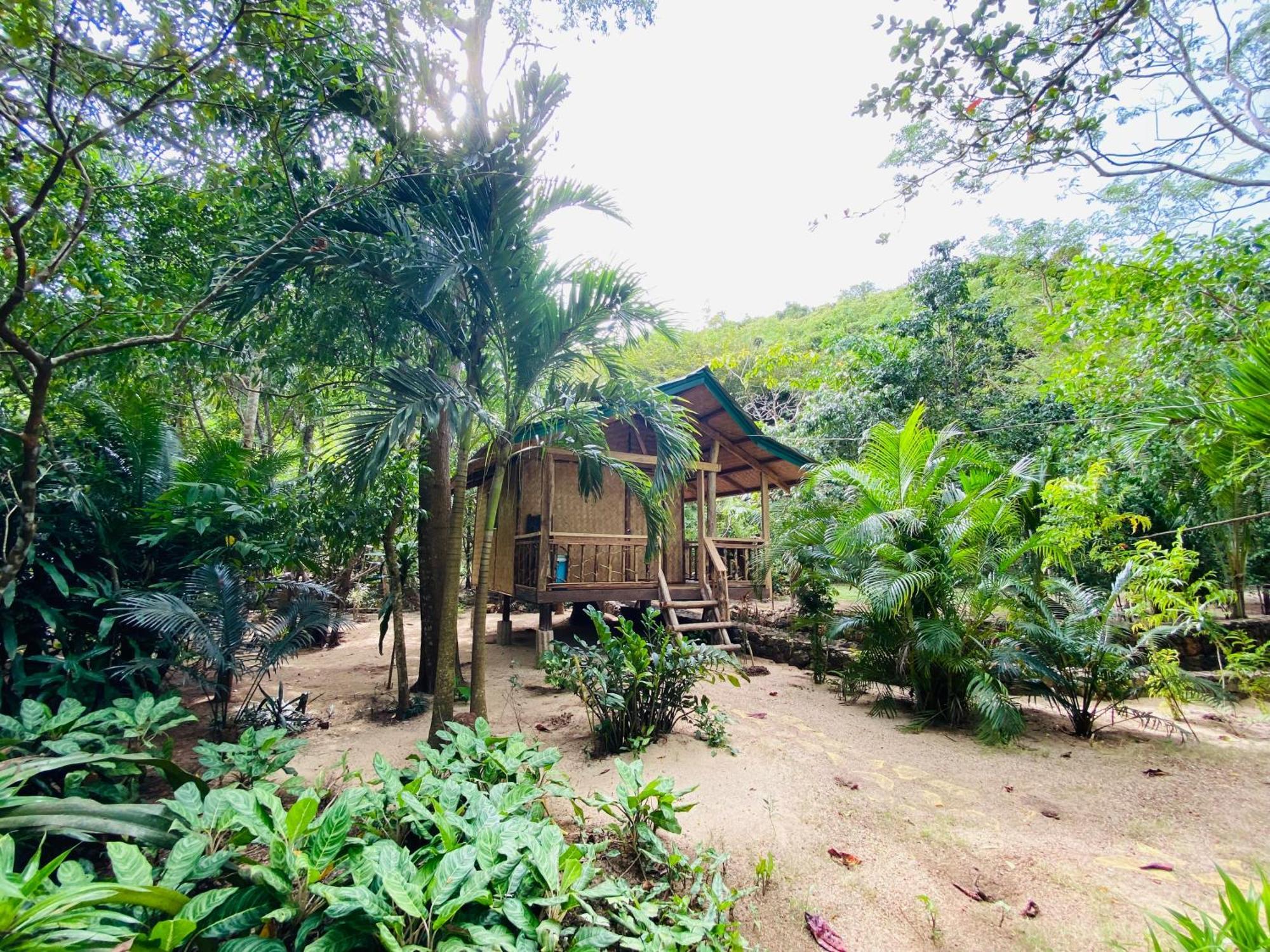 Ocamocam Beach Nature Resort New Busuanga Eksteriør bilde